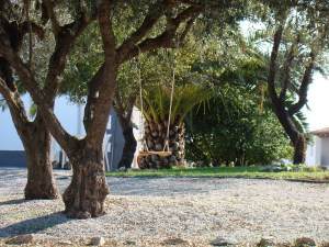 relógio sem ponteiros